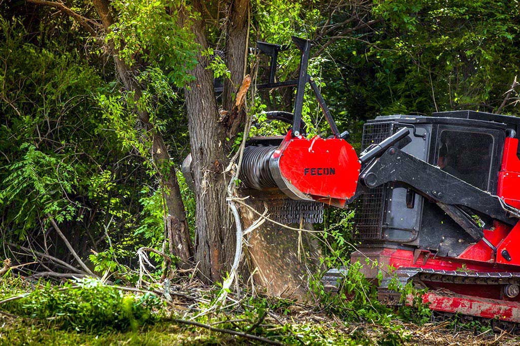 Why Professional Equipment Makes or Breaks Your Land Clearing Project — Apex Land Services blog