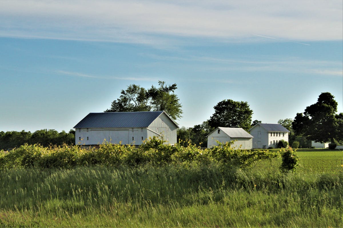 Land Clearing in Huron County: Your Neighbor's Land Clearing Company — Apex Land Services blog