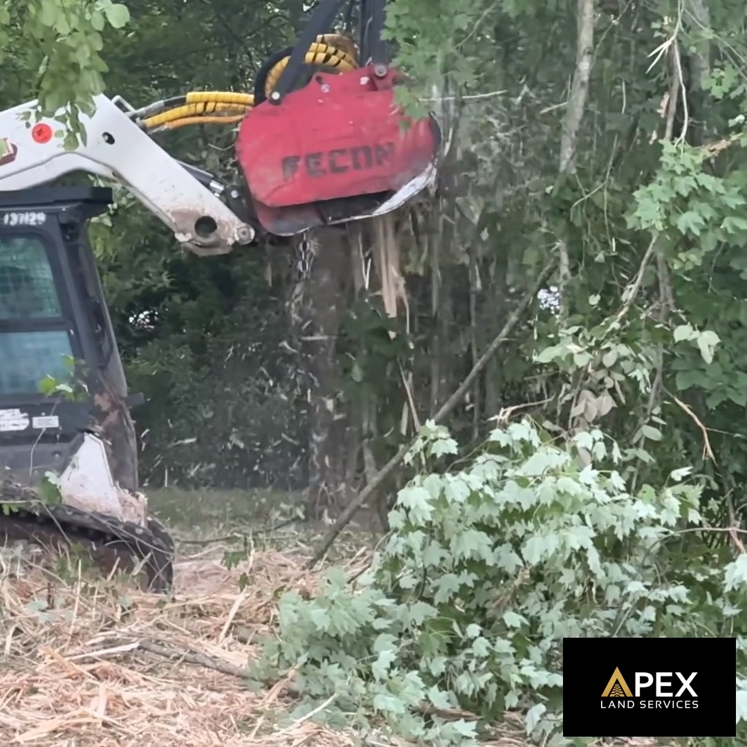 Forestry Mulching vs Brush Hogging: Which One Do You Need? — Apex Land Services blog