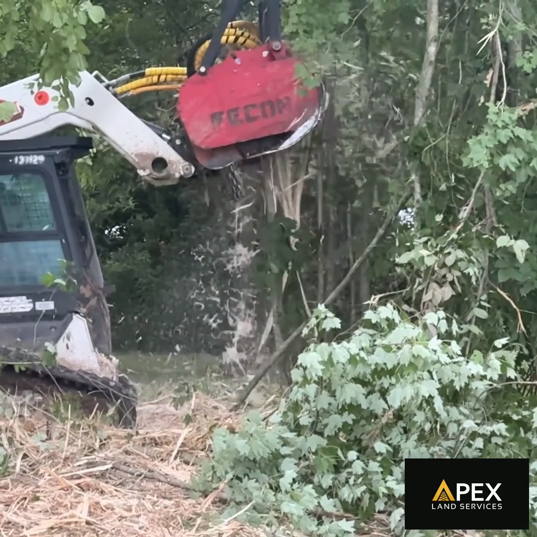 Got an Overgrown Lot? Here's How to Reclaim It (Ohio Property Guide) — Apex Land Services blog