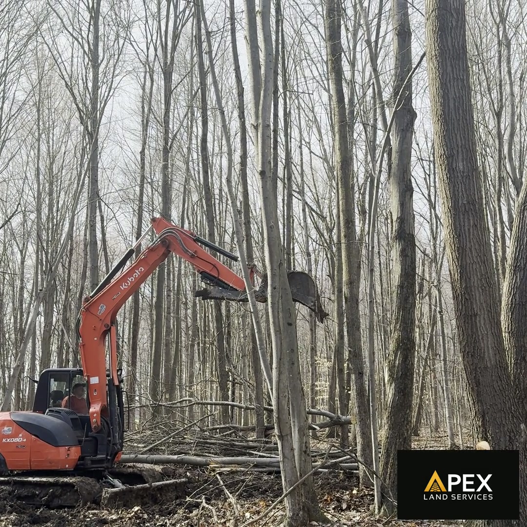 Before and After: What to Expect During a Land Clearing Project — Apex Land Services blog